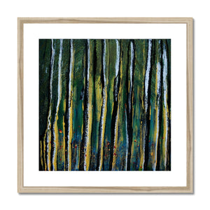 "Forest" Framed & Mounted Print