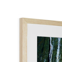 Load image into Gallery viewer, &quot;Forest&quot; Framed &amp; Mounted Print